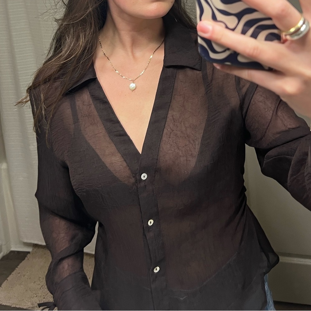 Sheer Brown Button-Up Blouse